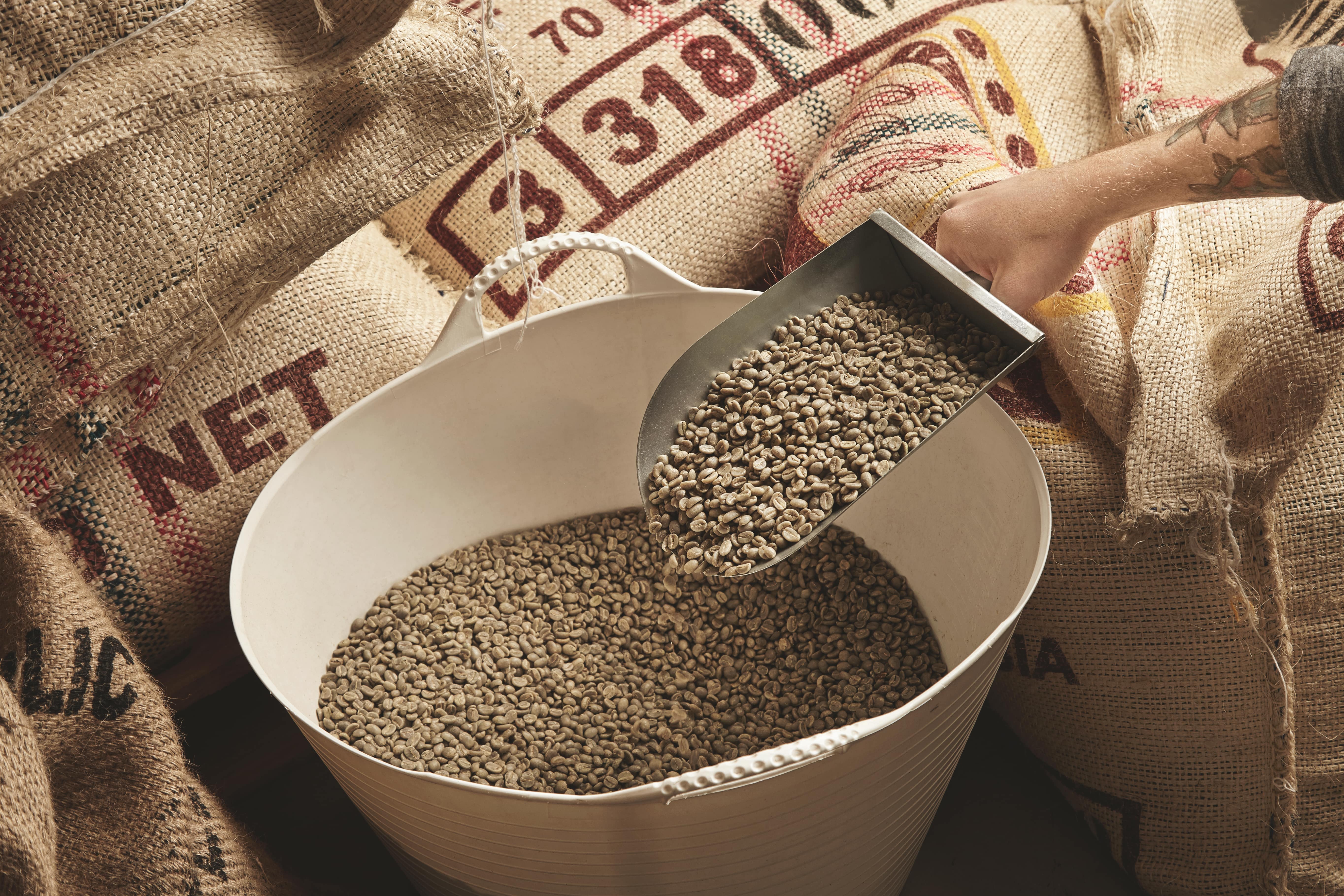 Scoop of raw coffee beans representing Black Crown Coffee Co’s exceptional single origin coffee flavours